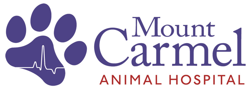 Mount Carmel Animal Hospital - Mount Carmel Maryland