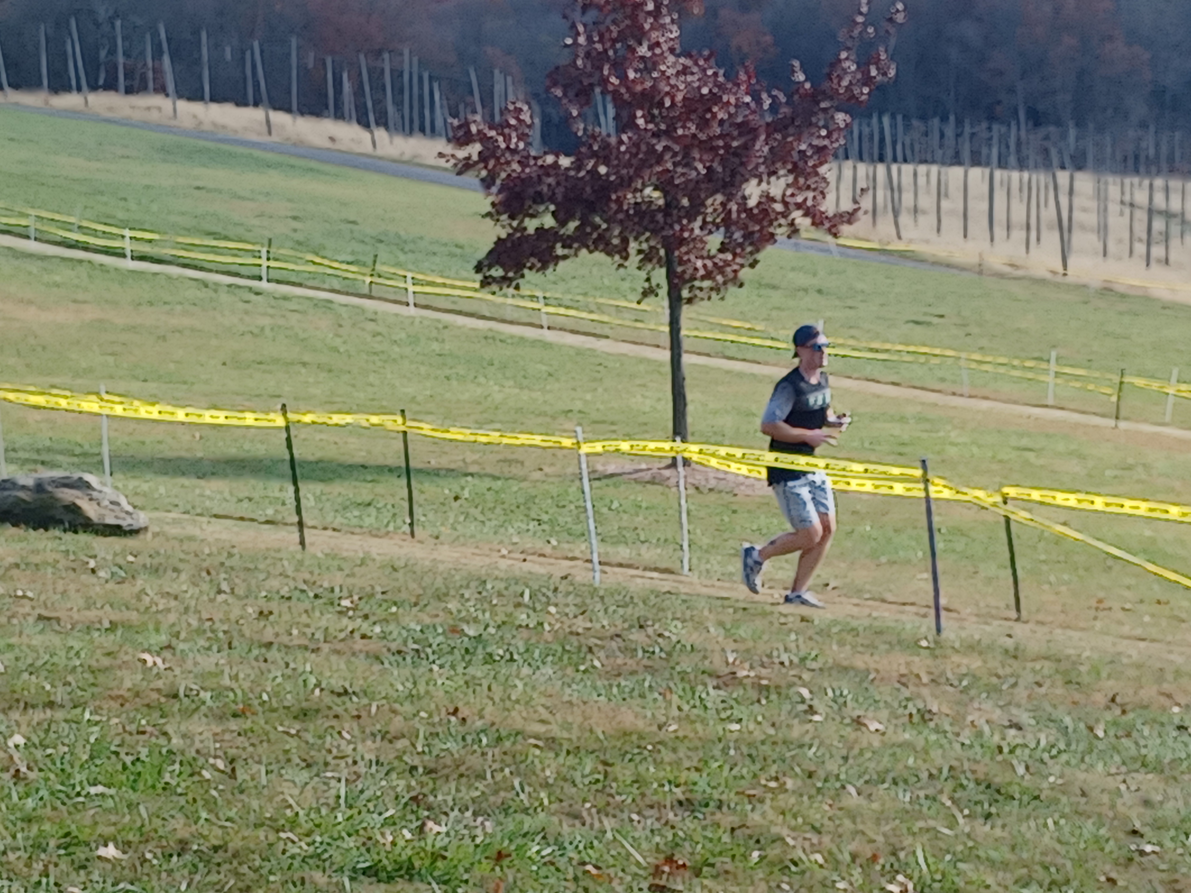 A person jogging on a grassy field with yellow caution tape marking a path, with trees and vineyard posts in the background.