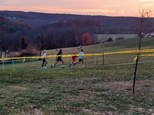 Runners participating in a cross-country race on a grassy hillside during sunset, with yellow caution tape marking the course.